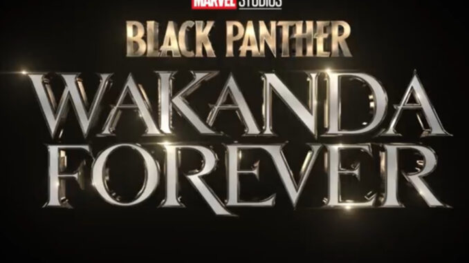 Black Panther: Wakanda Forever poster